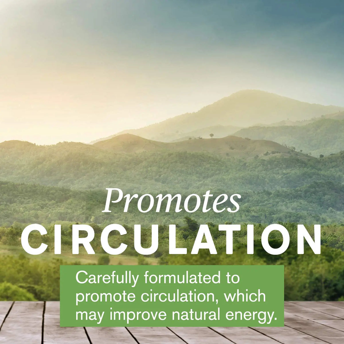 Nature's Sunshine Mind-Max 90 Capsules | Brain Support & Circulation BritishVita | Premium UK Vitamins & Wellness Supplements