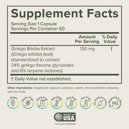 Prominent Ginkgo Biloba 120mg - Memory & Focus Support | Vegan, Non-GMO | 2-Pack BritishVita | Premium UK Vitamins & Wellness Supplements