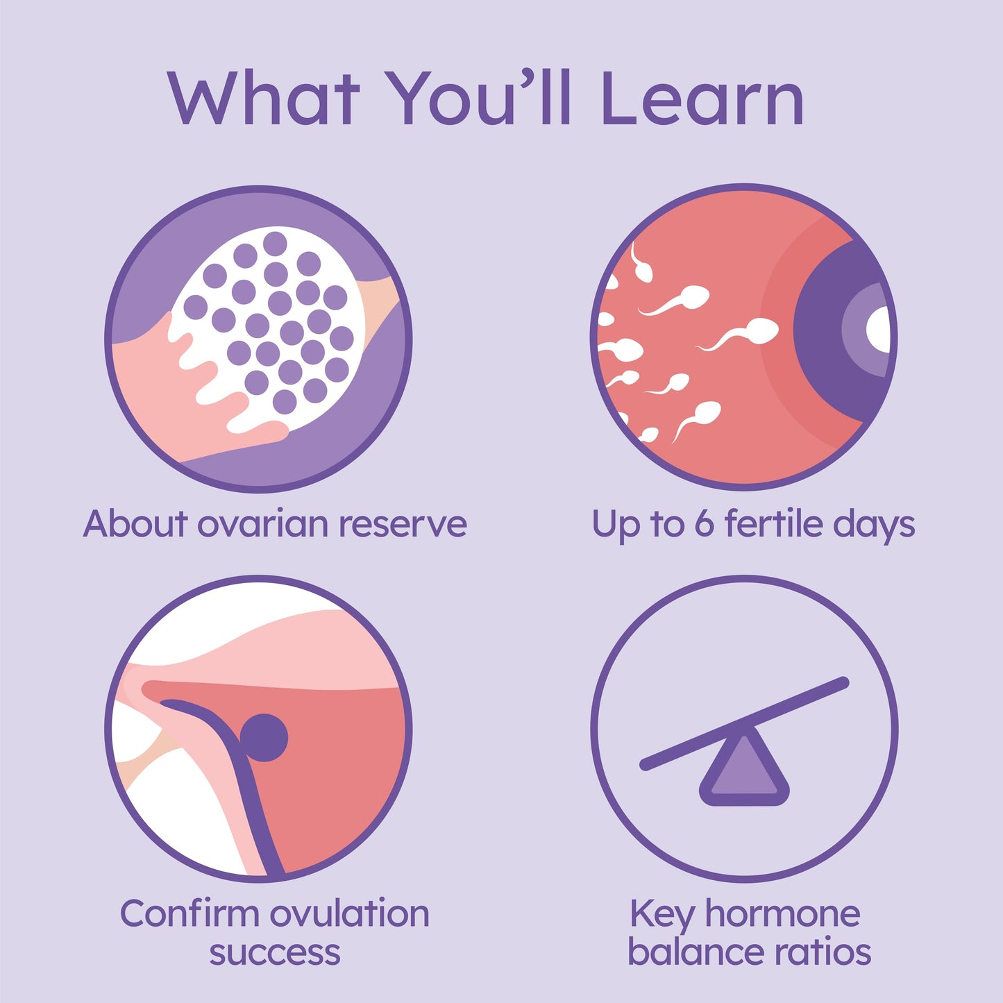 Proov Complete Fertility Monitor | At-Home Lab-Quality Fertility Test Kit for Family Planning