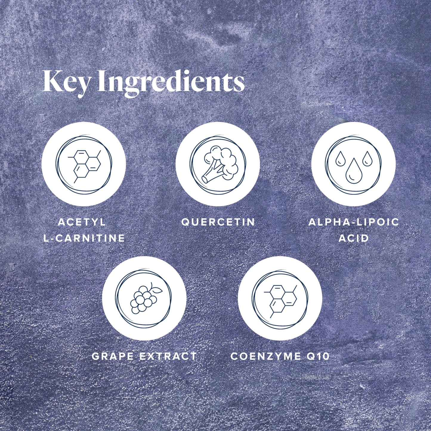 LifeVantage Protandim NRF1 Synergizer – NRF1 Activator for Cellular Health & Mitochondrial Energy (60 Capsules)