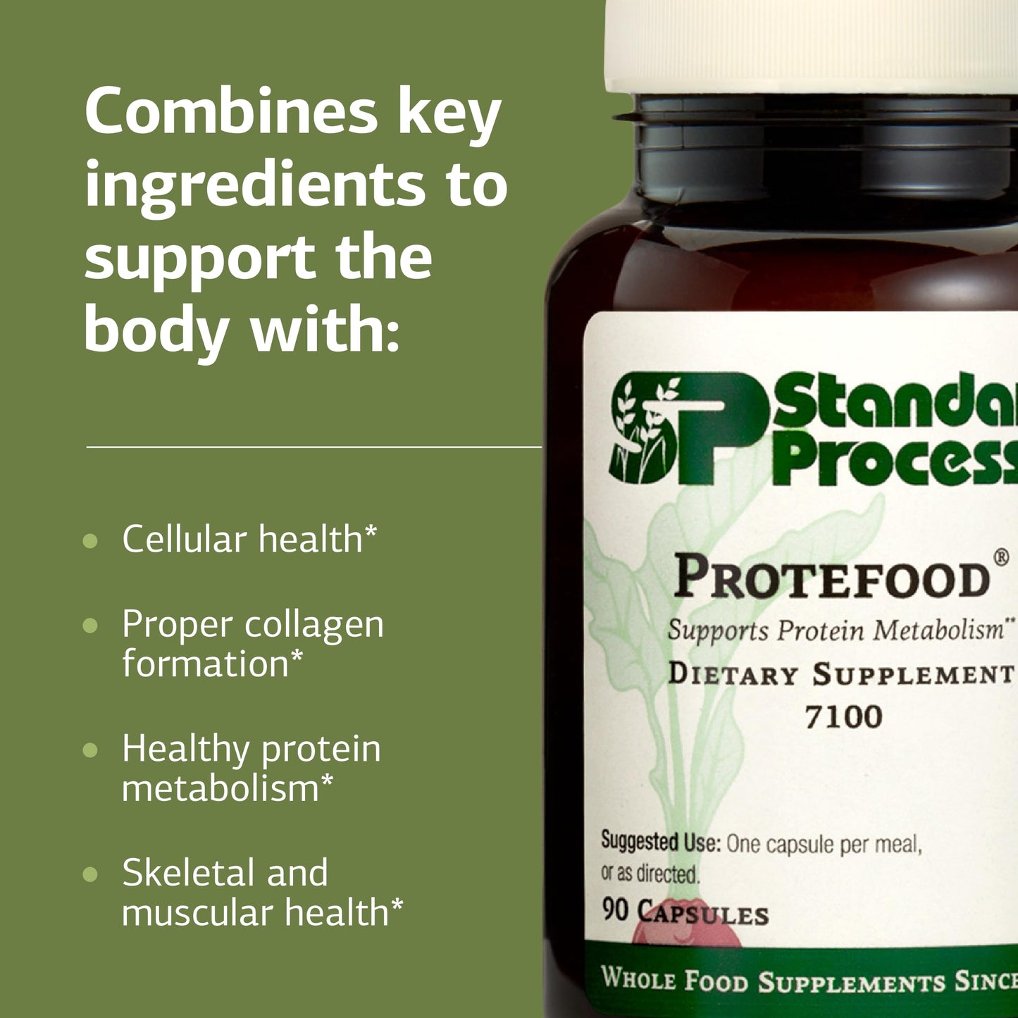 Protefood by Standard Process – Protein Metabolism & Bone Health Support (90 Capsules)