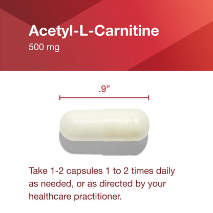 Protocol Acetyl-L-Carnitine 500mg – Energy, Nerve & Brain Support – 100 Veg Caps
