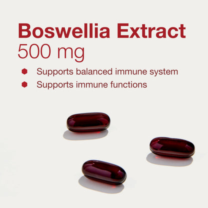 Protocol Boswellia Extract 500 mg – Boswellia Supplement with MCT Oil Base | 90 Softgels