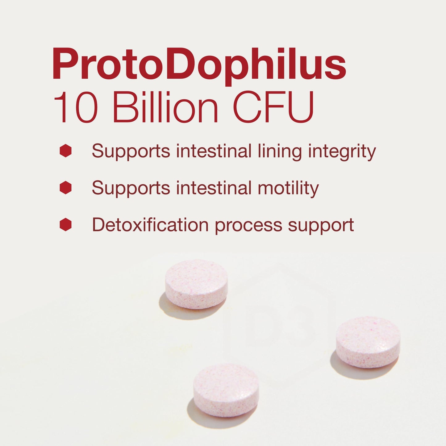 Protocol Chewable Protodophilus - 10 Billion CFU Probiotic | 60 Chewables, Vegan & Halal