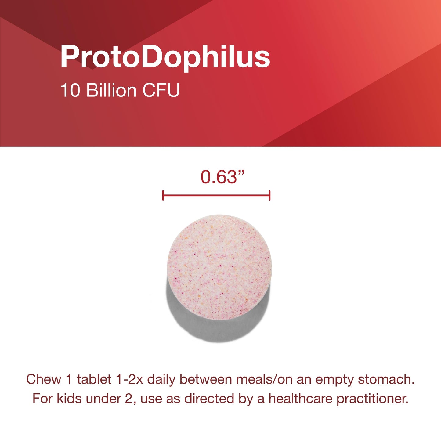 Protocol Chewable Protodophilus - 10 Billion CFU Probiotic | 60 Chewables, Vegan & Halal