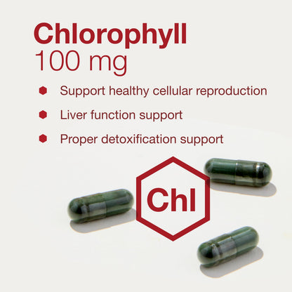 Protocol Chlorophyll – Detox, Liver Support & Internal Deodorant | 90 Veg Capsules (Non-GMO, Soy Free)