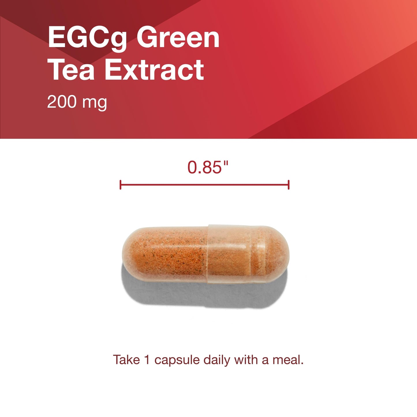 Protocol EGCG 200 mg – Green Tea Extract with 200 mg EGCG | Kosher & Vegan | 90 Veg Capsules