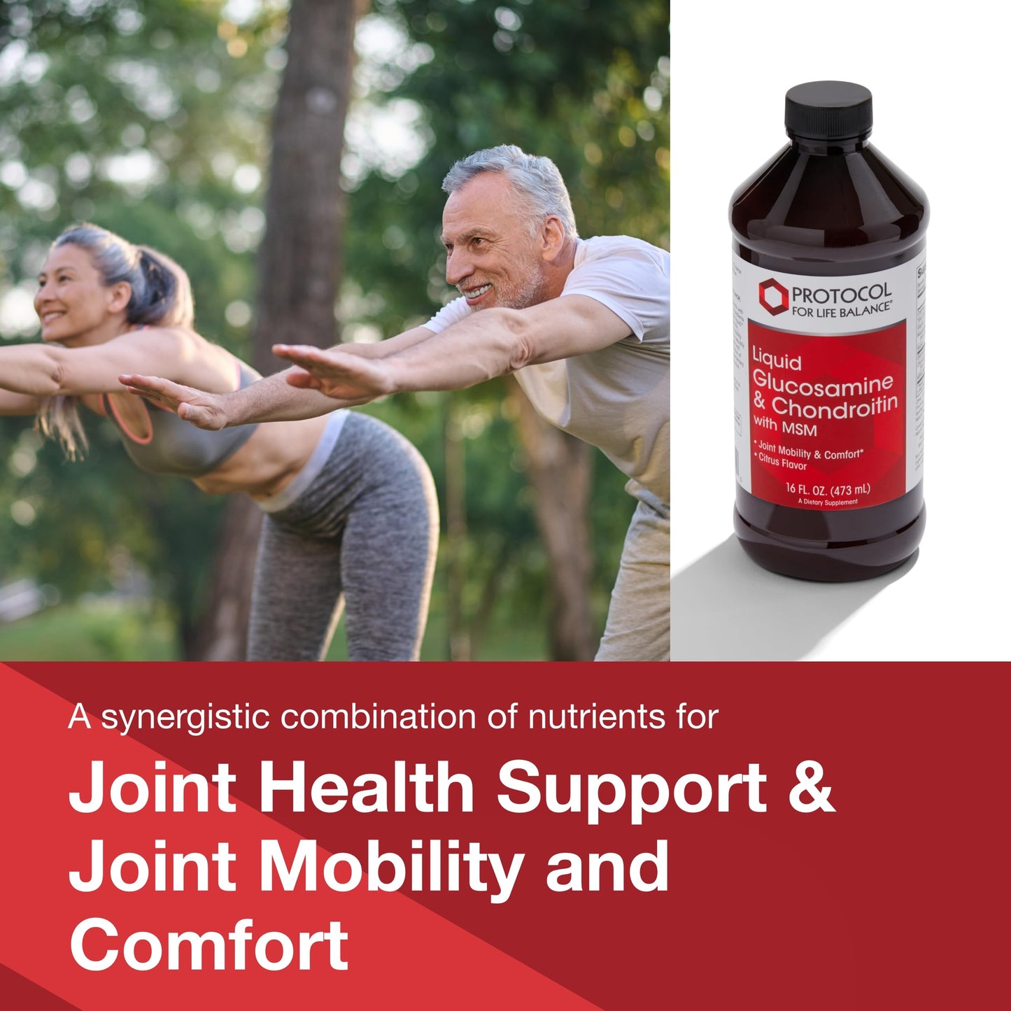 Protocol for Life Balance Liquid Glucosamine & Chondroitin with MSM – Joint Support – Egg Free, Dairy Free – 16 fl oz