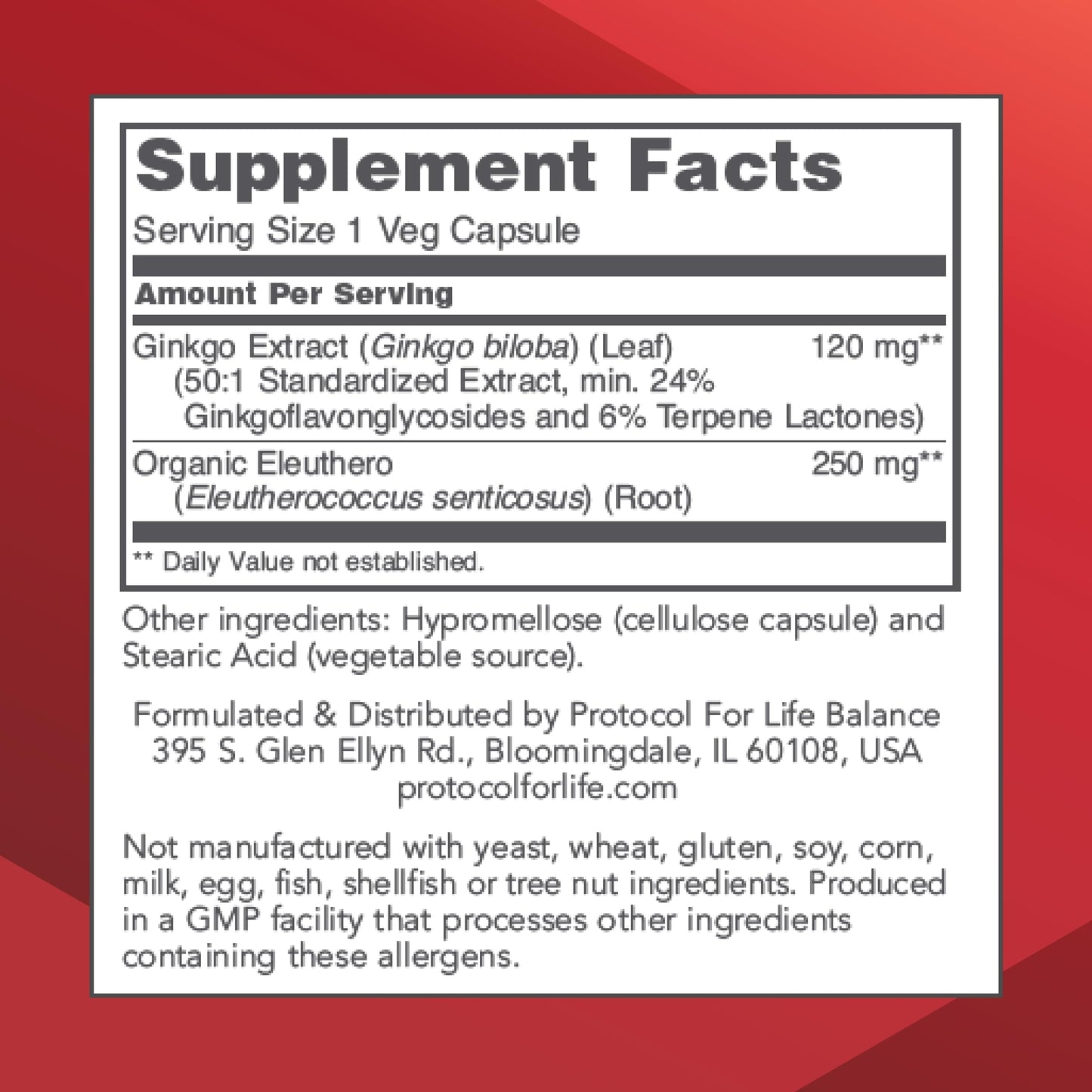 Protocol Ginkgo Biloba 120 mg with Eleuthero – Brain Health & Circulation | 100 Veg Capsules