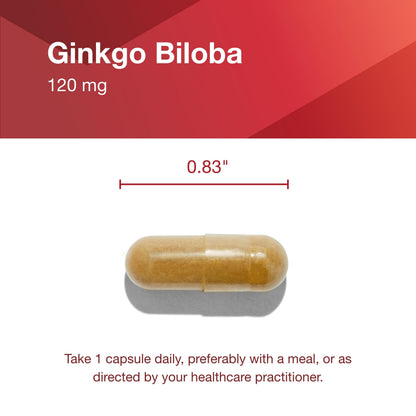 Protocol Ginkgo Biloba 120 mg with Eleuthero – Brain Health & Circulation | 100 Veg Capsules