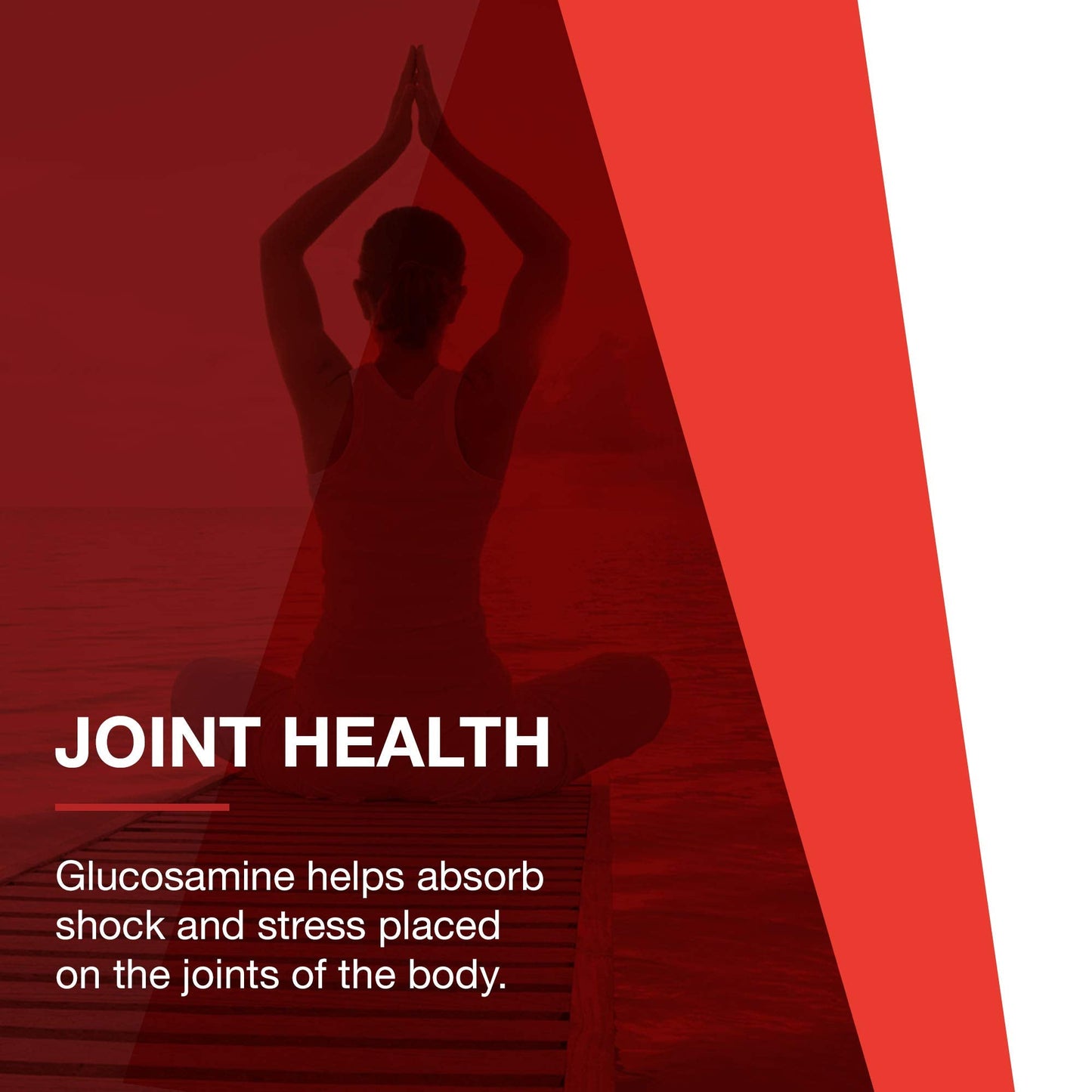 Protocol Glucosamine & Chondroitin with MSM - Joint Support* - 90 Veg Caps - Non-GMO & Dairy Free