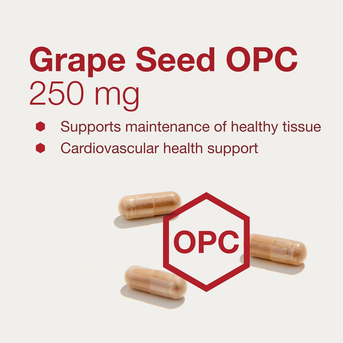 Protocol Grape Seed OPC 250mg - 90% Polyphenols - Rutin & Amla - 90 Veg Caps