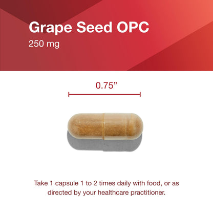 Protocol Grape Seed OPC 250mg - 90% Polyphenols - Rutin & Amla - 90 Veg Caps