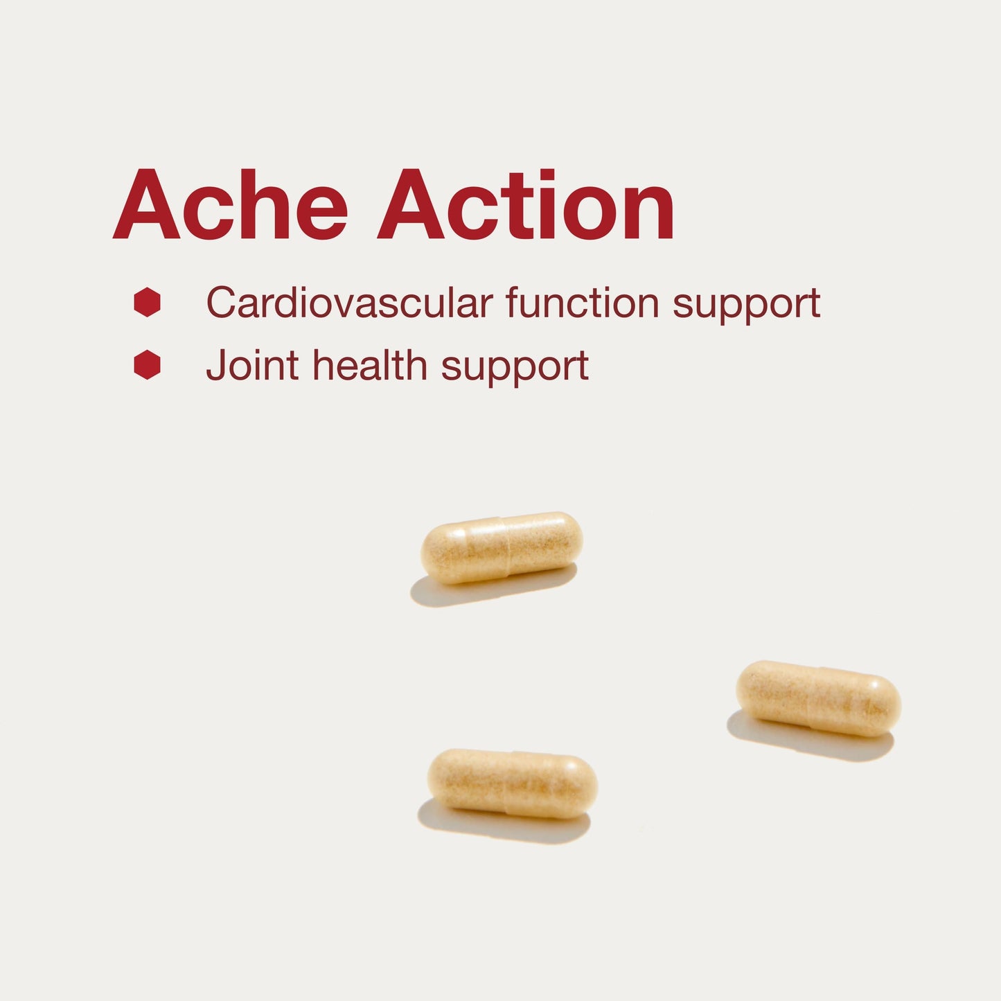 Ache Action Joint Supplement for Women & Men | Protocol For Life Balance | 120 Veg Caps
