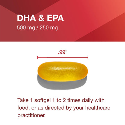 PROTOCOL FOR LIFE BALANCE DHA-500 - 120 Softgels | Brain Health & Easy Digestion