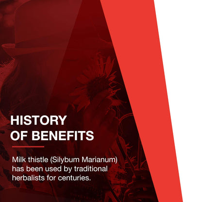 Milk Thistle Extract 300 mg - Liver Support* | 90 Veg Caps - Vegan & Kosher