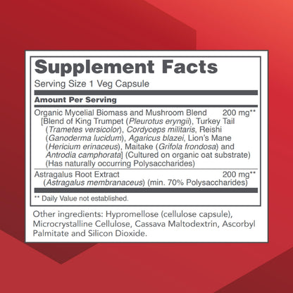 Protocol Mycel Immune Plus – Mushroom Blend with Astragalus