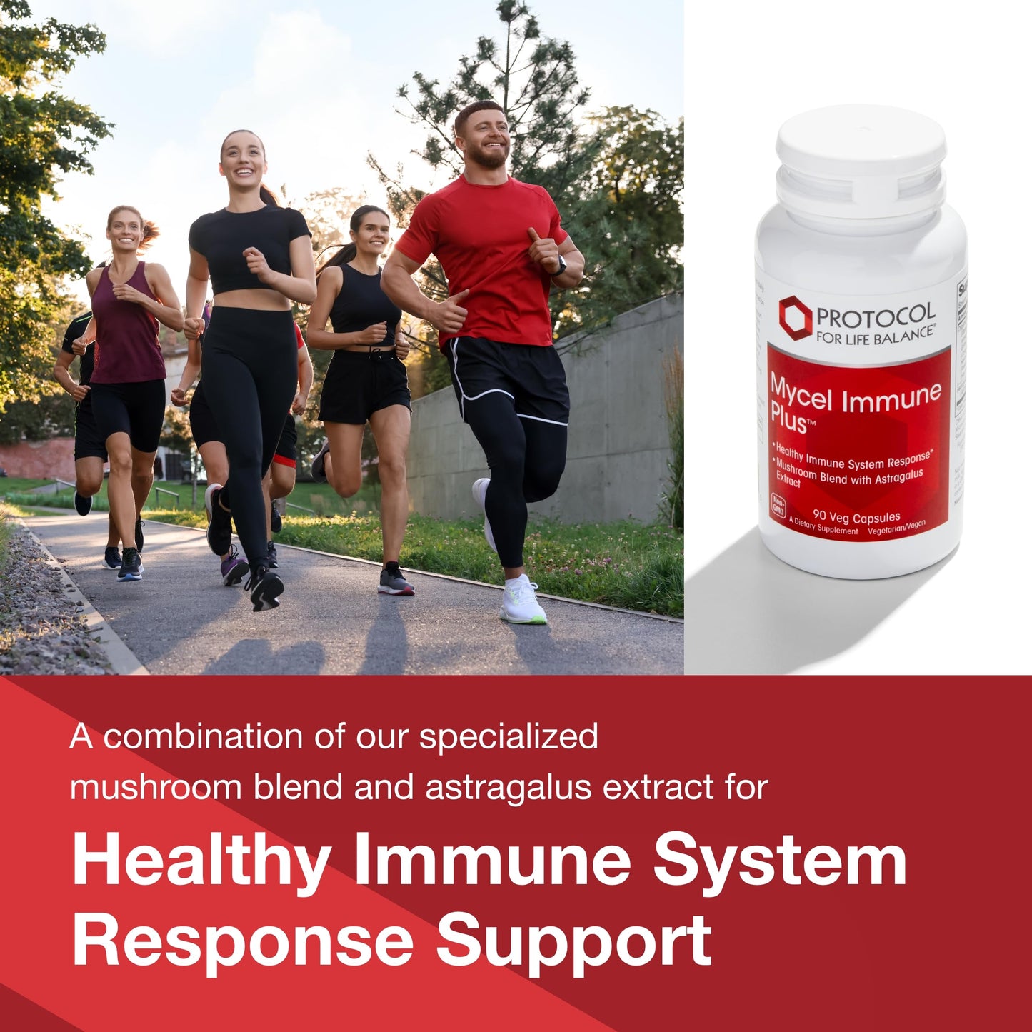 Protocol Mycel Immune Plus – Mushroom Blend with Astragalus