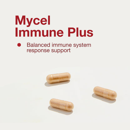 Protocol Mycel Immune Plus – Mushroom Blend with Astragalus