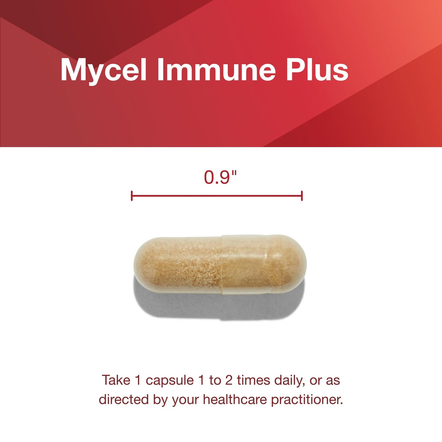Protocol Mycel Immune Plus – Mushroom Blend with Astragalus