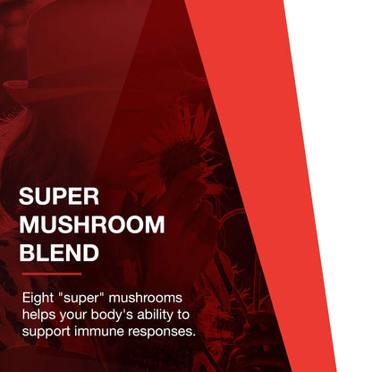 Protocol Mycel Immune Plus – Mushroom Blend with Astragalus