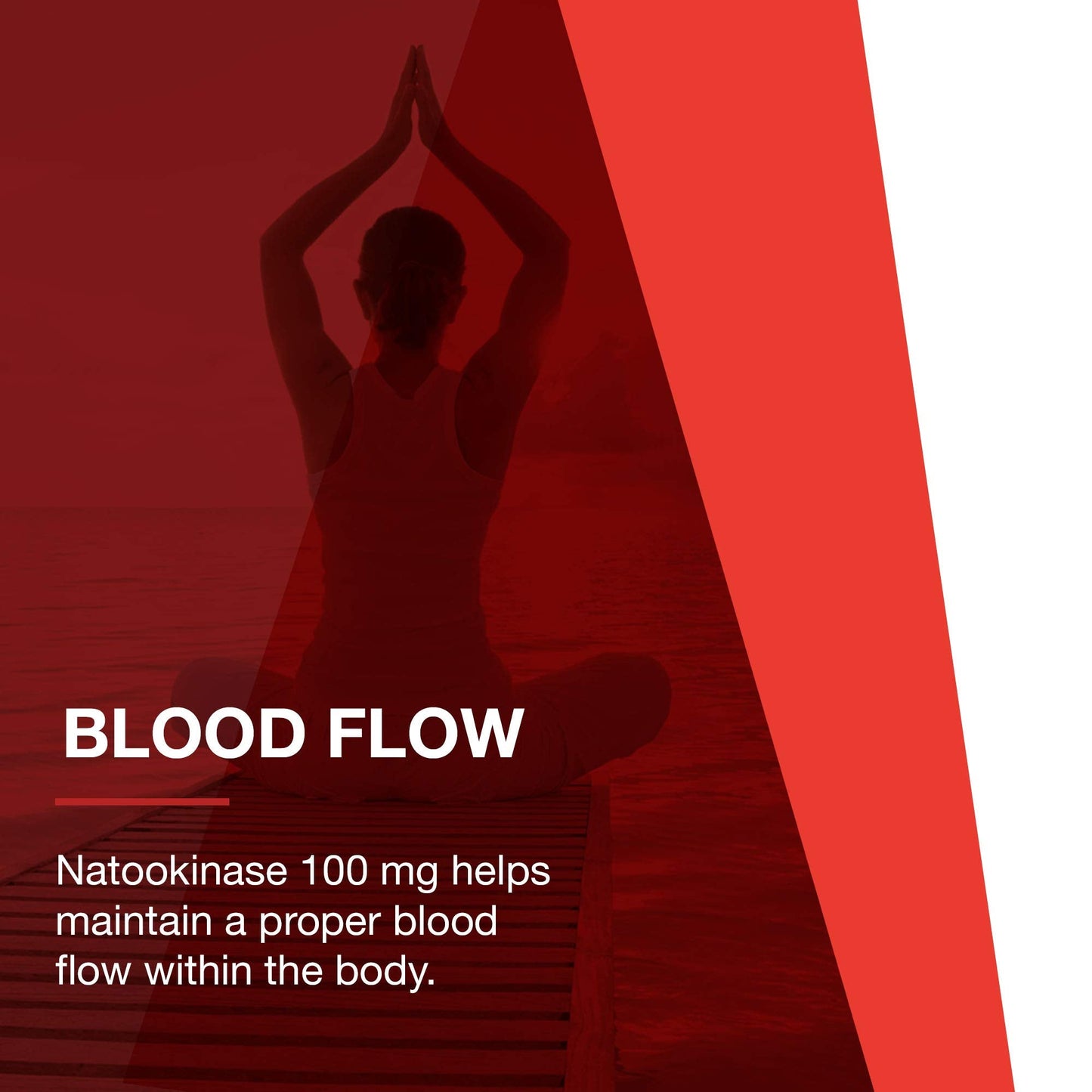 Protocol Nattokinase - 100mg Nattokinase Supplement - for Heart Health & Blood Circulation* - Kosher & Dairy Free - 60 Veg Caps