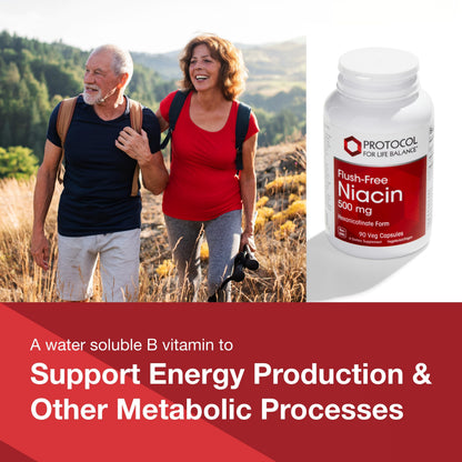 Protocol Niacin 500mg No-Flush Niacin - Vitamin B3 for Energy & Metabolism | 90 Veg Caps | Vegan & Kosher