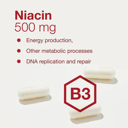 Protocol Niacin 500mg No-Flush Niacin - Vitamin B3 for Energy & Metabolism | 90 Veg Caps | Vegan & Kosher