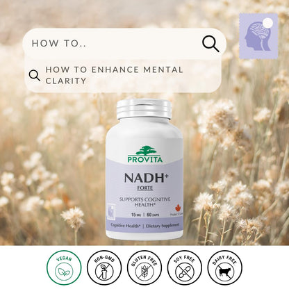 PROVITA NADH+ Forte – NADH, CoQ10 & Chlorophyll for Energy, Focus & Brain Health | Vegan Capsules