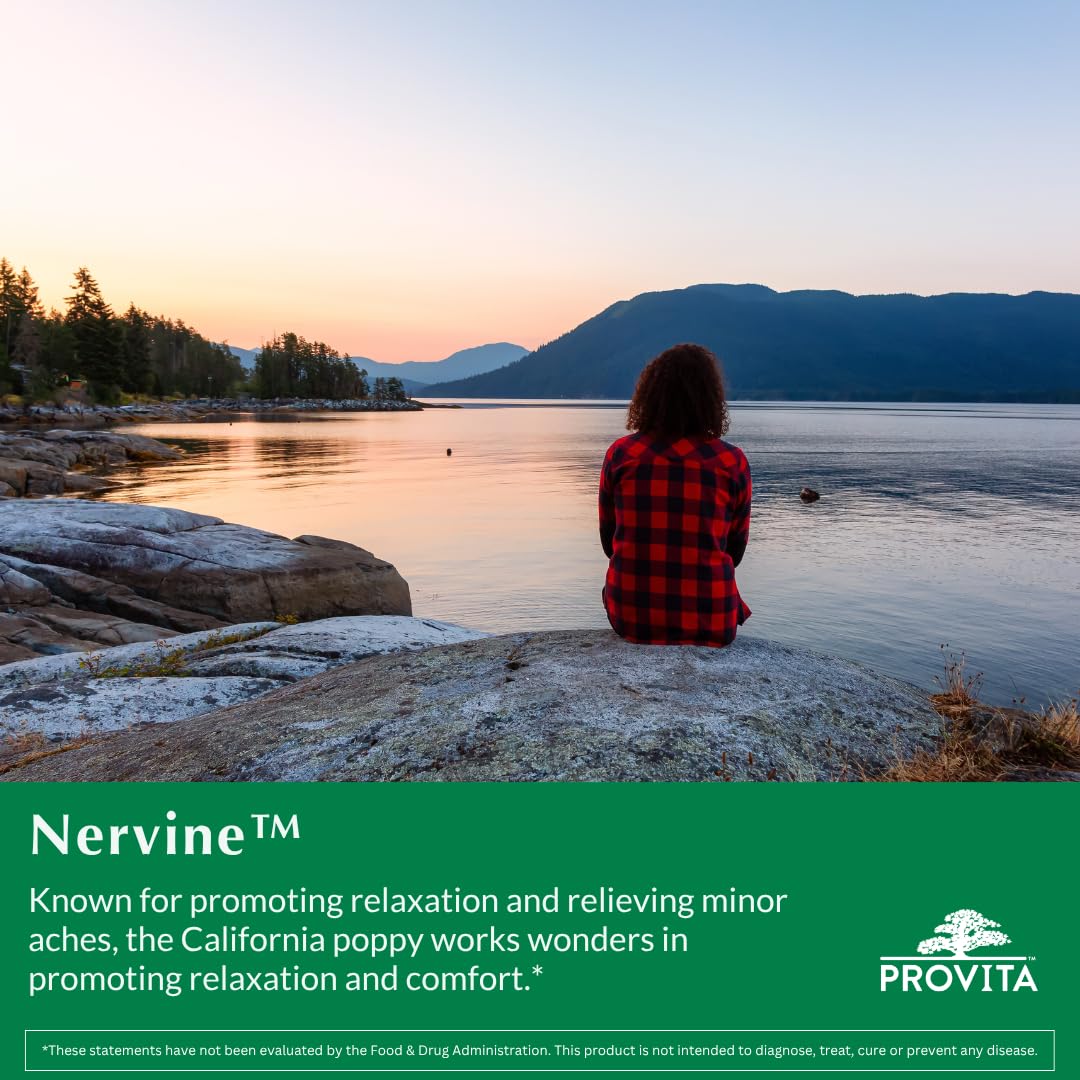 PROVITA Nervine | Natural Relaxation & Nervous System Support | 60 Veg Capsules