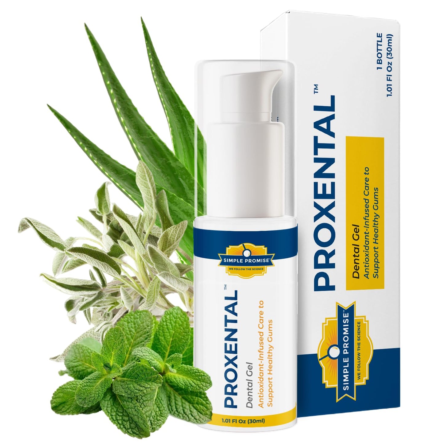 ProXental Dental Gel for Gum Health | Simple Promise 30ml