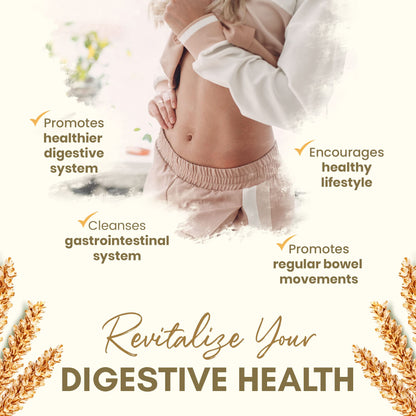 Organic Psyllium Husk Capsules 750 mg – Natural Fiber for Gut Health | Zealthy Life, 250 Capsules