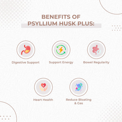 Psyllium Husk Plus Detox Formula – 1080mg, 120 Vegetarian Capsules
