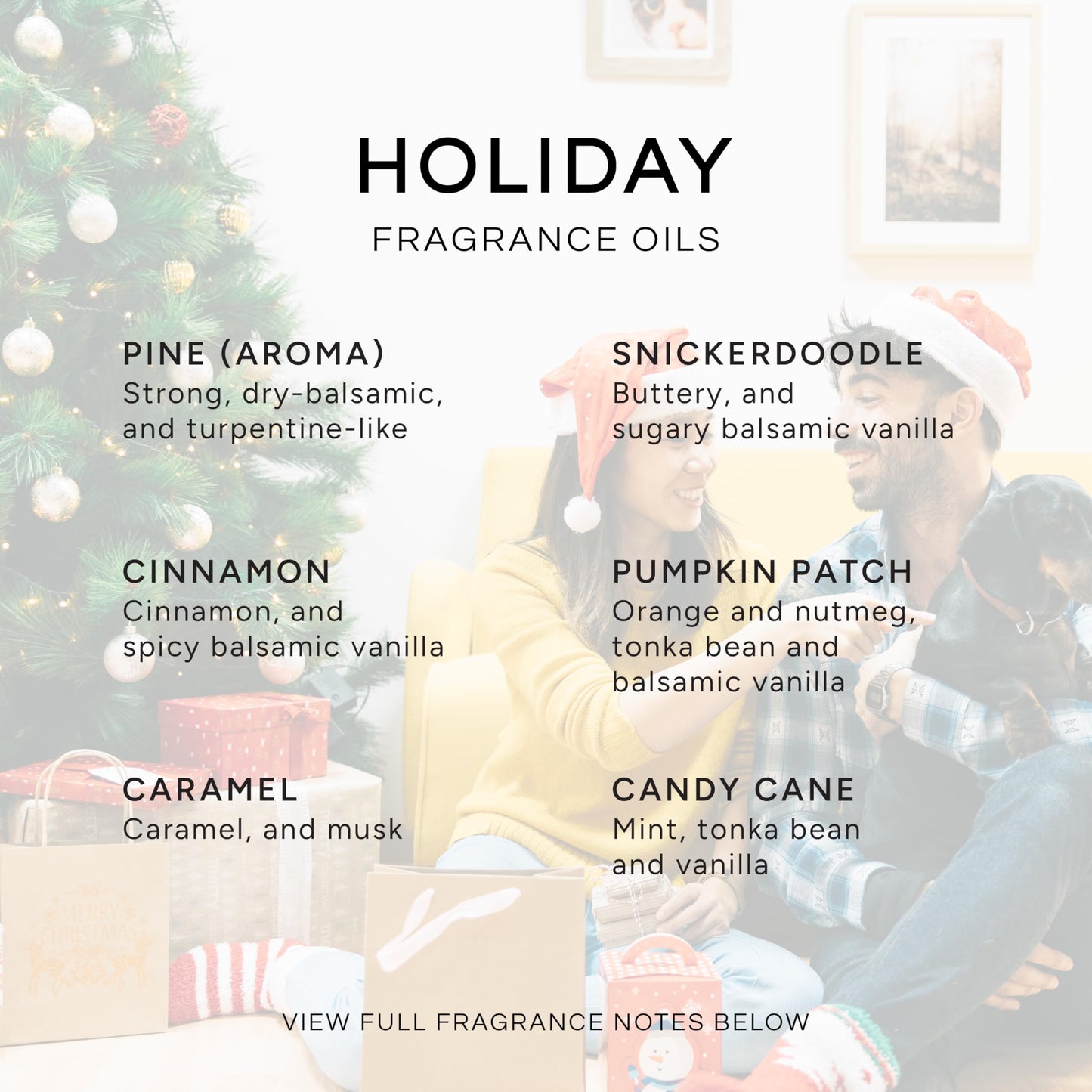 Holiday Set of 6 Premium Fragrance Oils (10ml) – Candy Cane & Pumpkin Patch