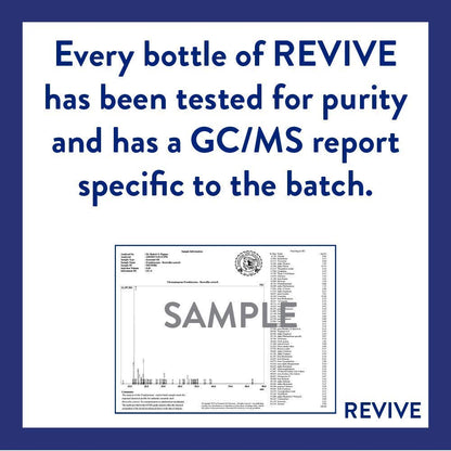 Pumpkin Pie Essential Oil Blend by REVIVEEO | 100% Pure Therapeutic Grade