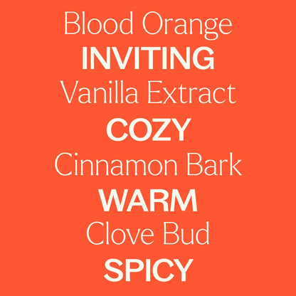 Plant Therapy Pumpkin Spice Fall Essential Oil Blend 10 mL – Warm & Cozy Scent