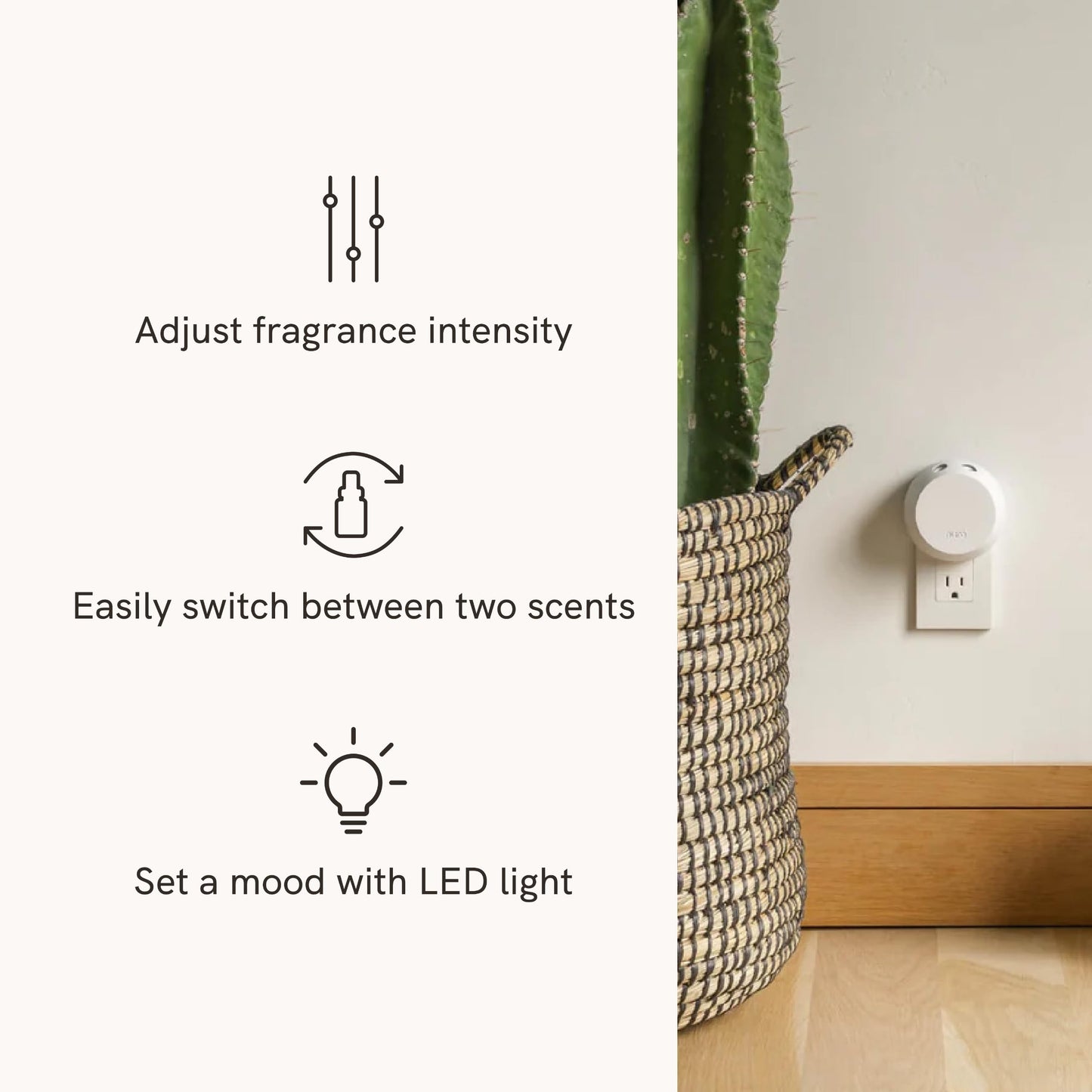 Pura 4 Smart Fragrance Diffuser Starter Set - Maui Mango & Island Blend Refills