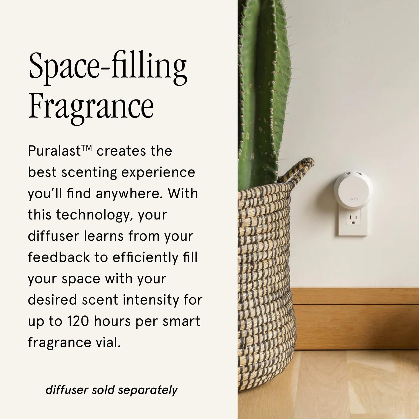 Pura & Allos Ginger Clementine Fragrance Refill for Smart Home Diffusers - 2 Pack