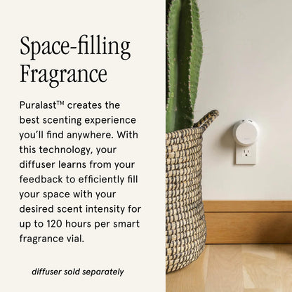 Pura & Allos Ginger Clementine Fragrance Refill for Smart Home Diffusers - 2 Pack
