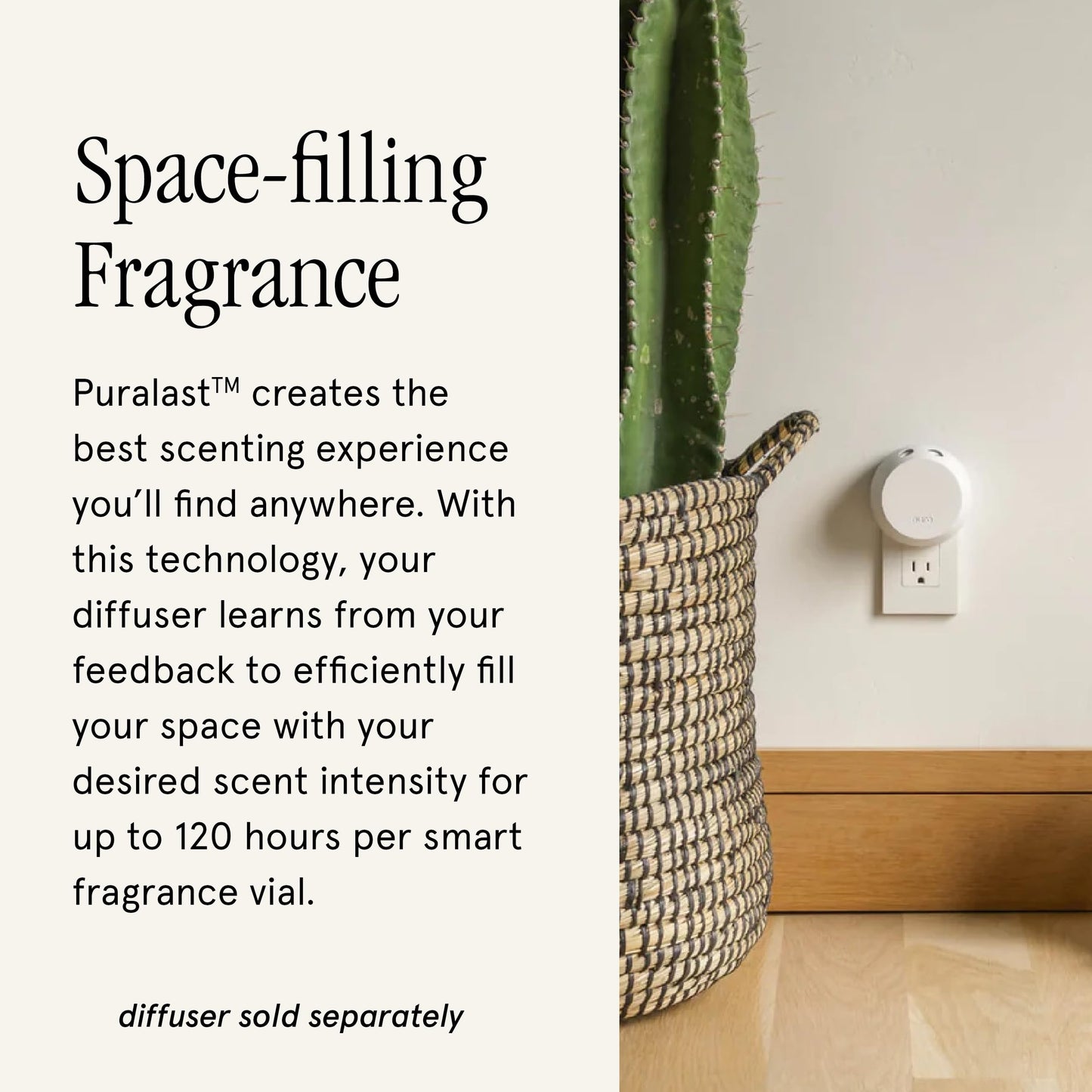 Pura & Aromatique Home Scent Refill - Pumpkin Spice, 2-Pack | 120-Hour Smart Diffuser Fragrance