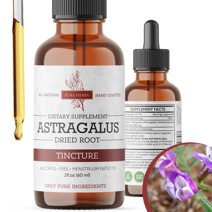 Pura Herba Organic Astragalus Tincture - Premium Immune Support | Alcohol-Free, Sugar-Free, Vegan | Made in USA | 2 Fl Oz