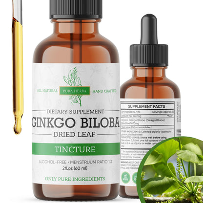 Ginkgo Biloba Liquid 2 Fl Oz – Brain & Memory Support | Pura Herba