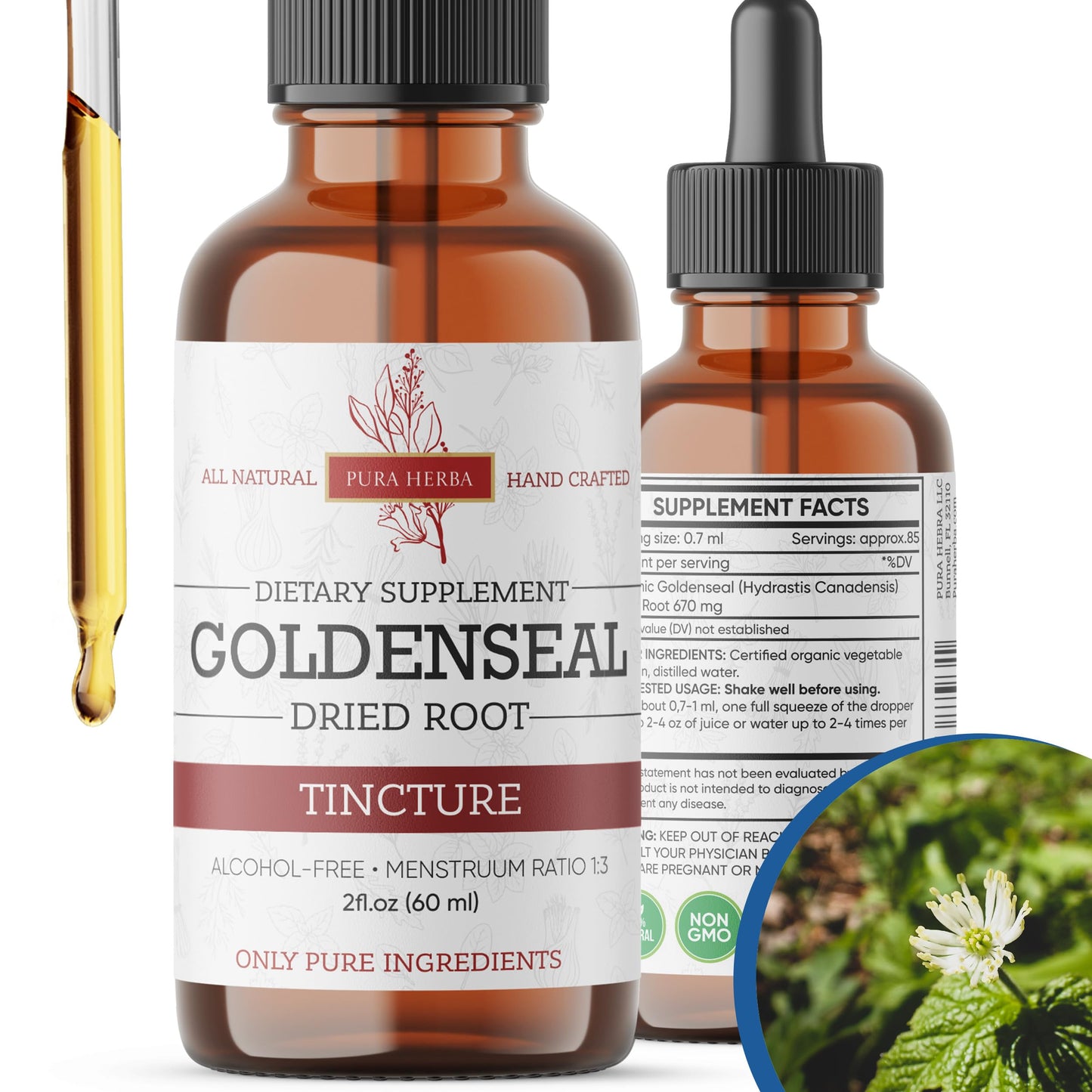 Pura Herba Goldenseal Tincture – Alcohol-Free Herbal Extract | USA-Made 2 oz (60 ml)