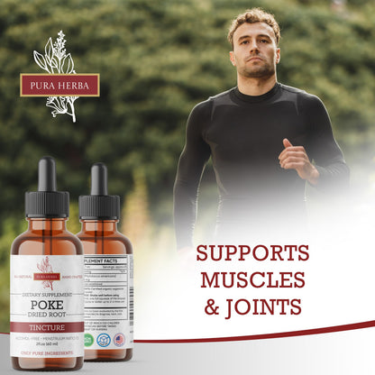 Pura Herba Organic Poke Root Tincture | Immune & Lymphatic Support | 2 oz | Made in USA