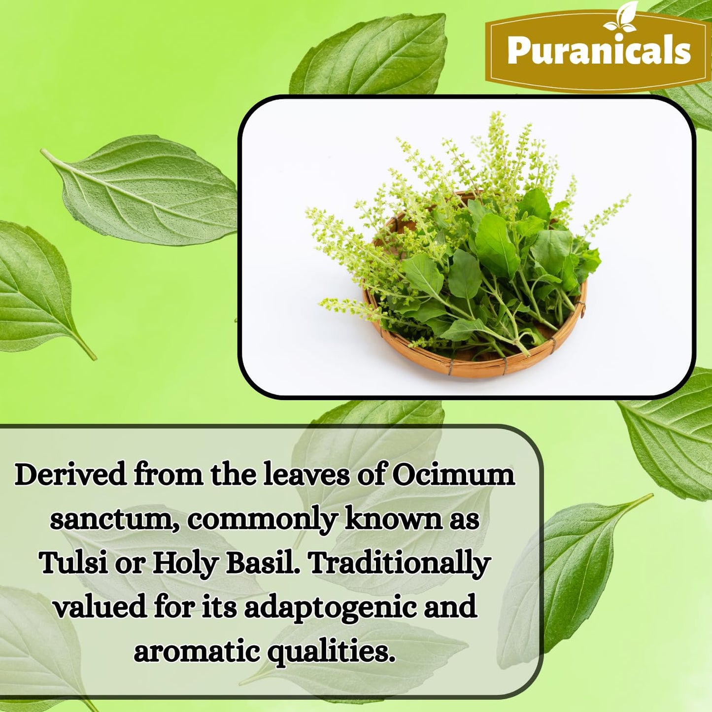 Puranicals Holy Basil Premium 320 Capsules – 600 mg per Serving | Non-GMO, Gluten-Free