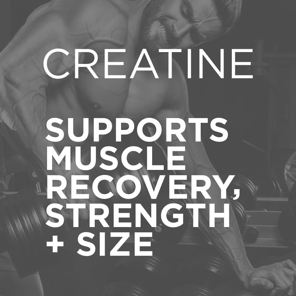 Purbolics Creapure Creatine Monohydrate 5g Micronized – Rainbow Candy (50 Servings)