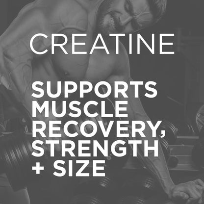 Purbolics Creapure Creatine Monohydrate 5g Micronized – Rainbow Candy (50 Servings)