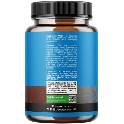 Alpha Lipoic Acid + Acetyl-L-Carnitine Supplement – Memory, Energy & Metabolism (60 Capsules)