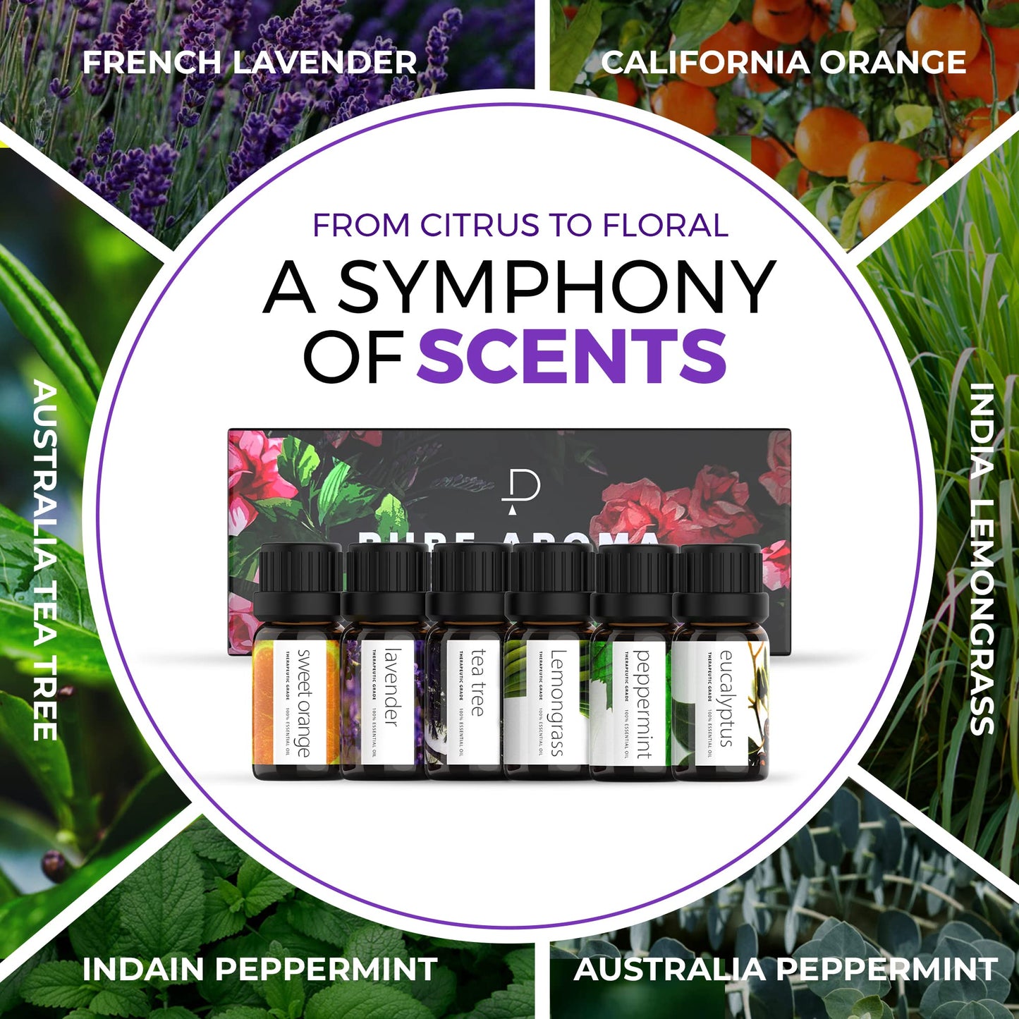 Pure Aroma Essential Oils Set – 6x10ml Aromatherapy Gift Pack (Lavender, Eucalyptus, Lemongrass, Sweet Orange, Peppermint, Tea Tree)