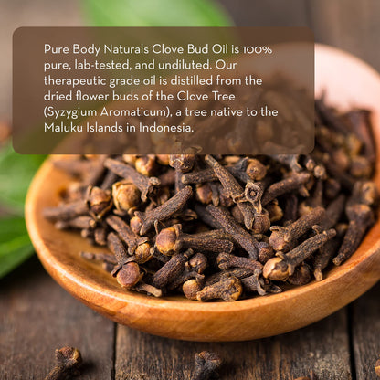 Pure Body Naturals Clove Bud Essential Oil 10 ml – Undiluted Therapeutic Grade